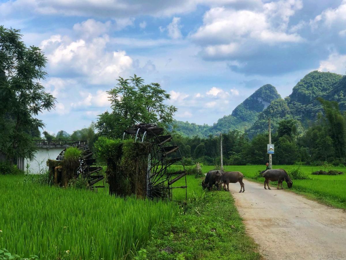 Green Riders House - Motorbike Rental & Tours 까오방 외부 사진
