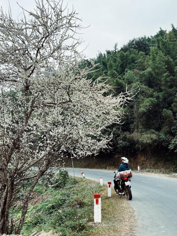 Green Riders House - Motorbike Rental & Tours 까오방 외부 사진